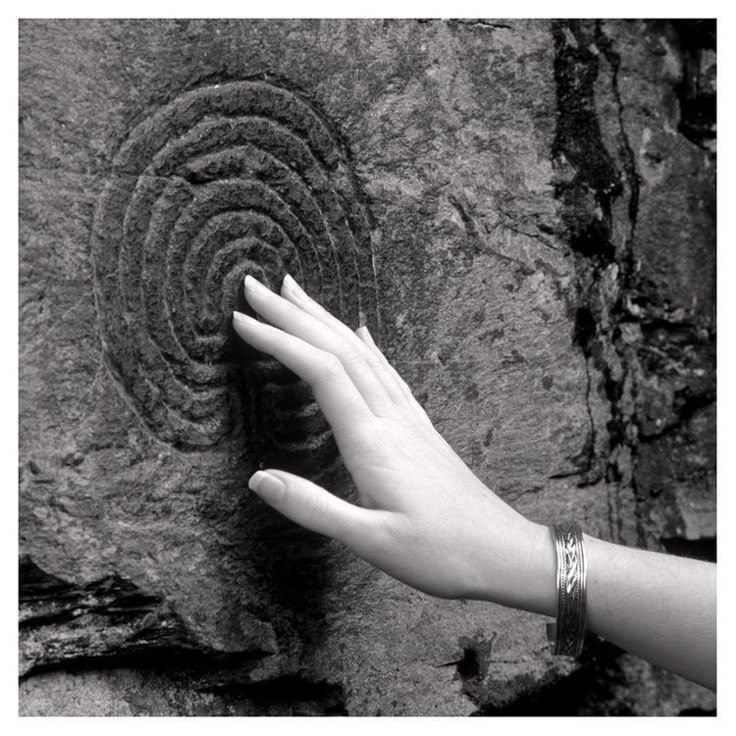 بدن طنین‌انداز: پیوند میان حرکت ، فضا و انرژی